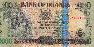 Beschrijving voorzijde: FARMER